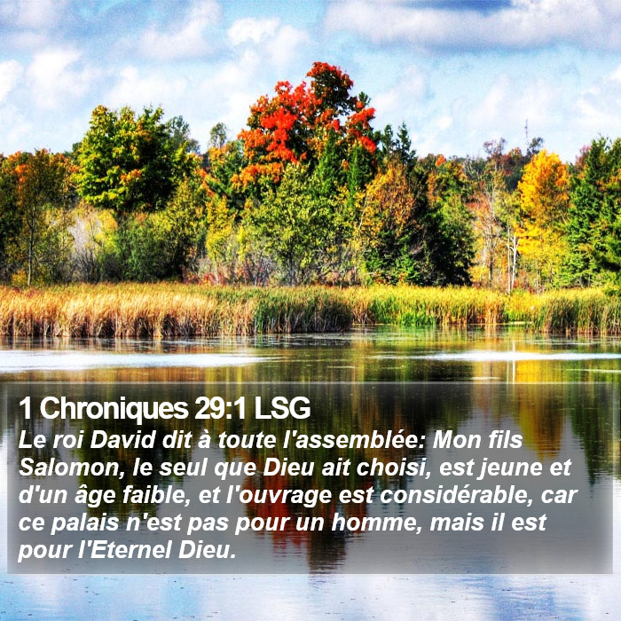 1 Chroniques 29:1 LSG Bible Study