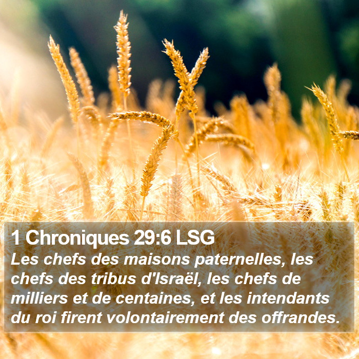 1 Chroniques 29:6 LSG Bible Study