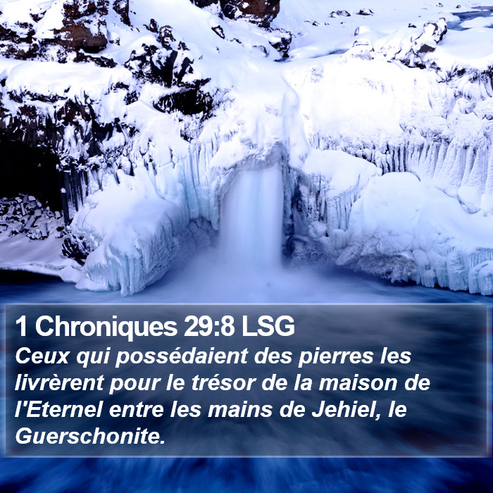 1 Chroniques 29:8 LSG Bible Study