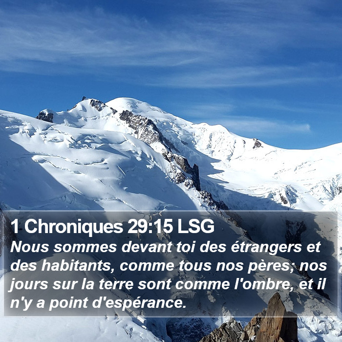 1 Chroniques 29:15 LSG Bible Study