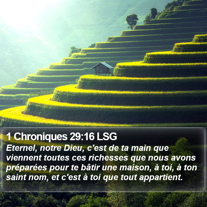 1 Chroniques 29:16 LSG Bible Study