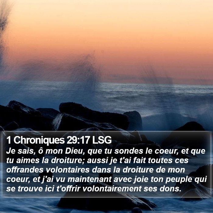 1 Chroniques 29:17 LSG Bible Study