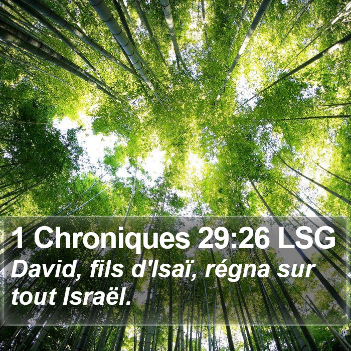 1 Chroniques 29:26 LSG Bible Study