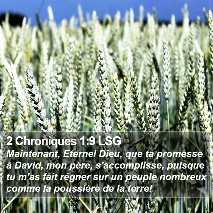 2 Chroniques 1:9 LSG Bible Study