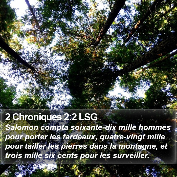 2 Chroniques 2:2 LSG Bible Study