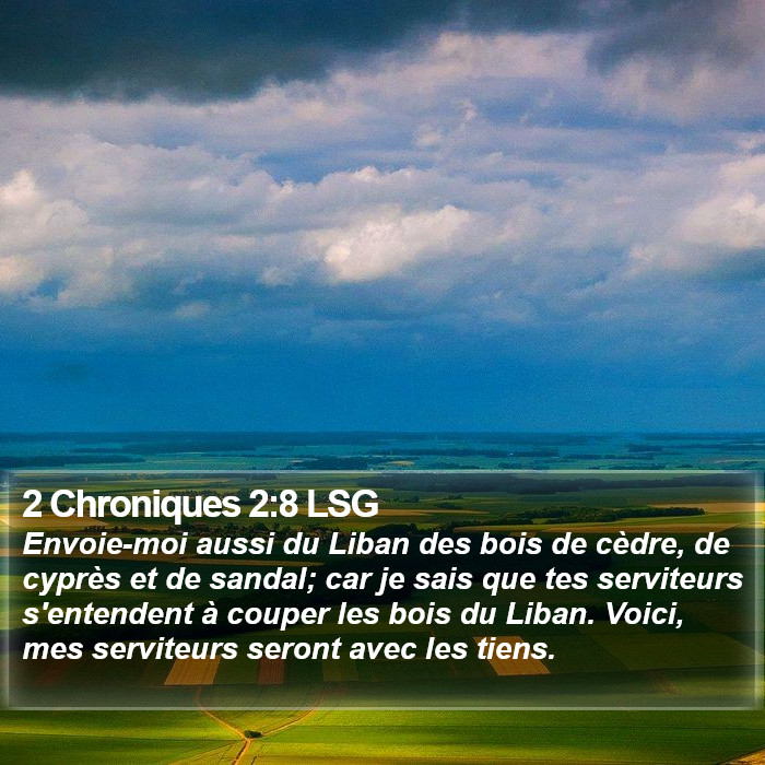 2 Chroniques 2:8 LSG Bible Study
