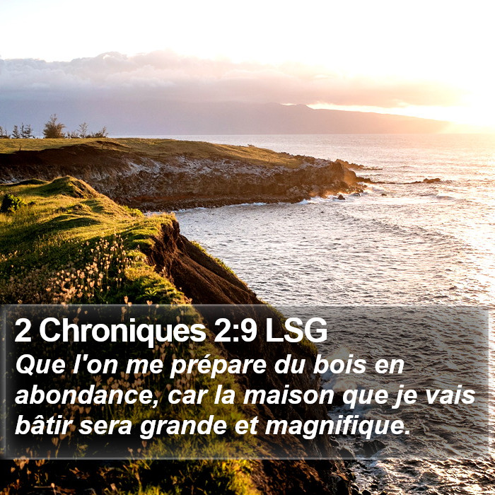 2 Chroniques 2:9 LSG Bible Study