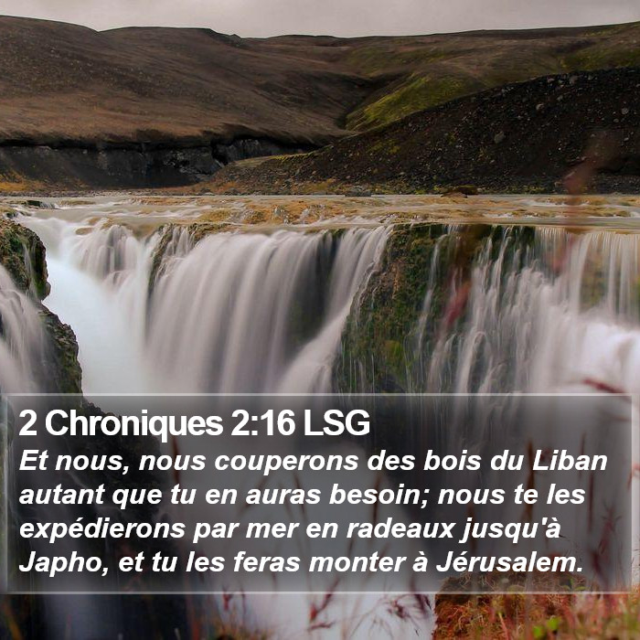 2 Chroniques 2:16 LSG Bible Study