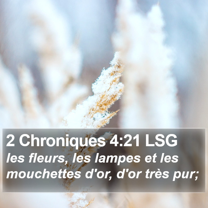 2 Chroniques 4:21 LSG Bible Study