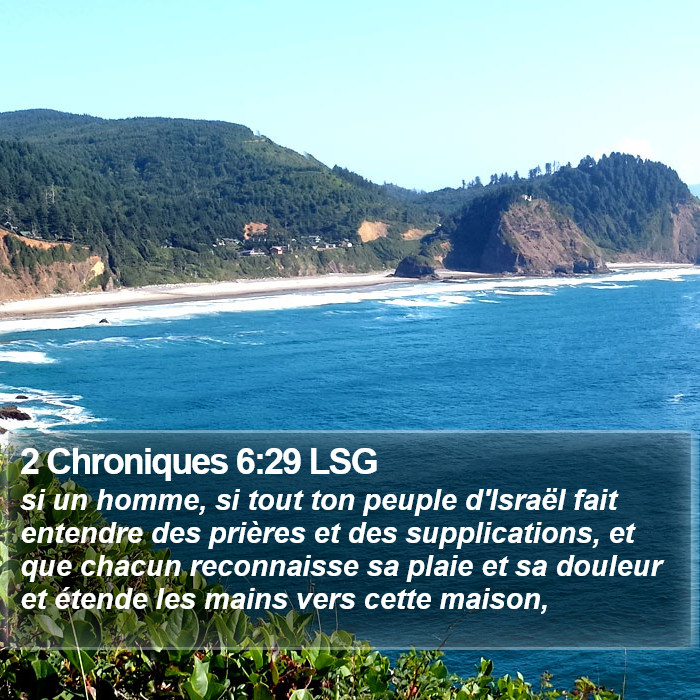 2 Chroniques 6:29 LSG Bible Study