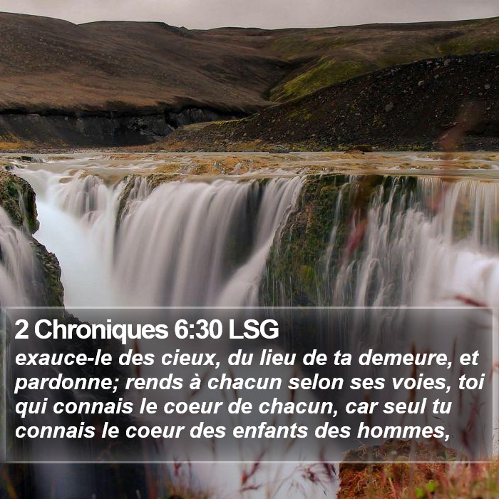 2 Chroniques 6:30 LSG Bible Study