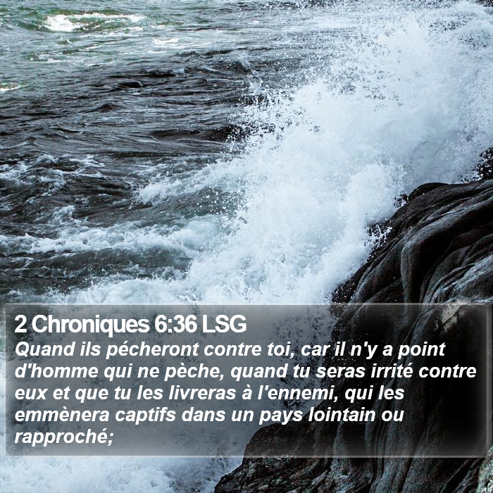2 Chroniques 6:36 LSG Bible Study