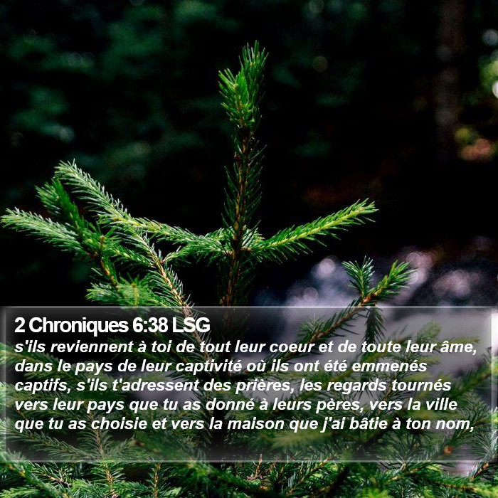 2 Chroniques 6:38 LSG Bible Study