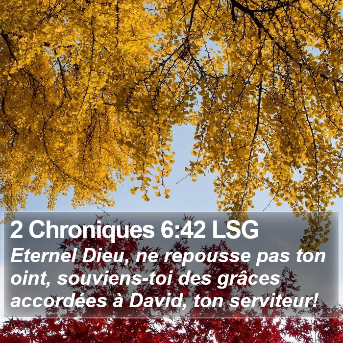 2 Chroniques 6:42 LSG Bible Study