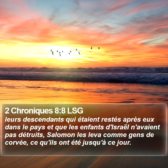 2 Chroniques 8:8 LSG Bible Study