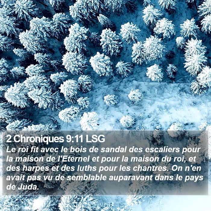 2 Chroniques 9:11 LSG Bible Study