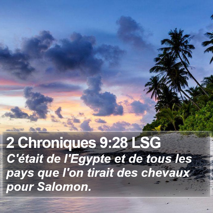 2 Chroniques 9:28 LSG Bible Study