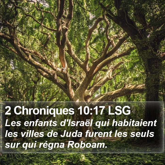 2 Chroniques 10:17 LSG Bible Study