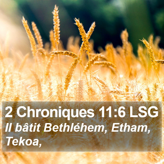 2 Chroniques 11:6 LSG Bible Study