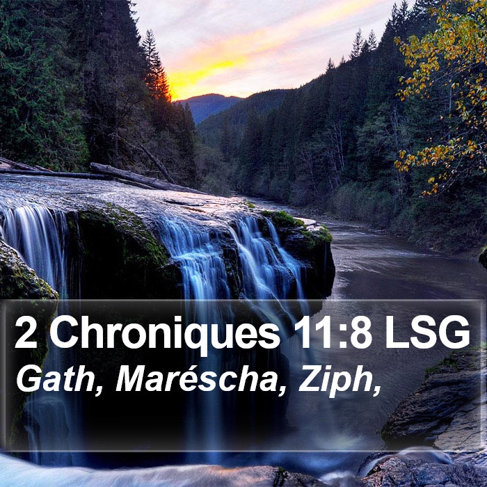 2 Chroniques 11:8 LSG Bible Study