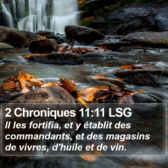 2 Chroniques 11:11 LSG Bible Study