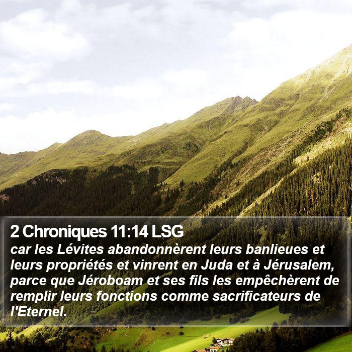 2 Chroniques 11:14 LSG Bible Study