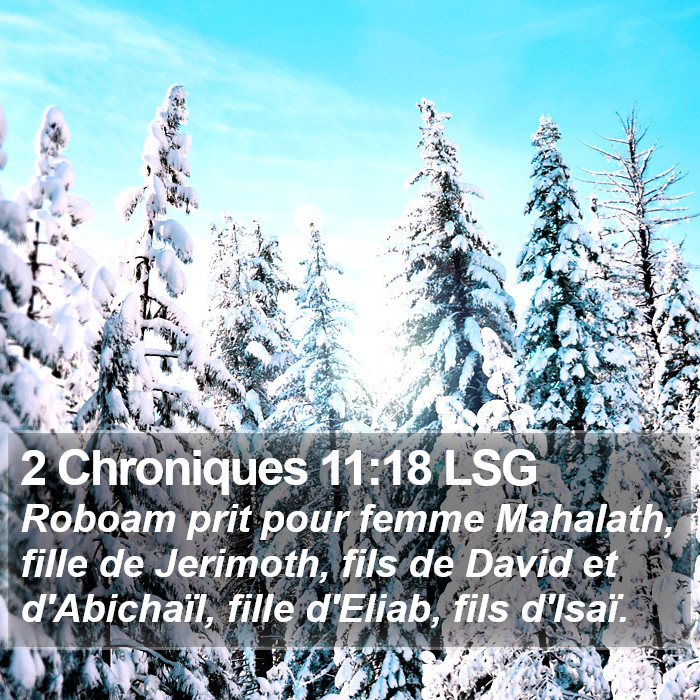 2 Chroniques 11:18 LSG Bible Study