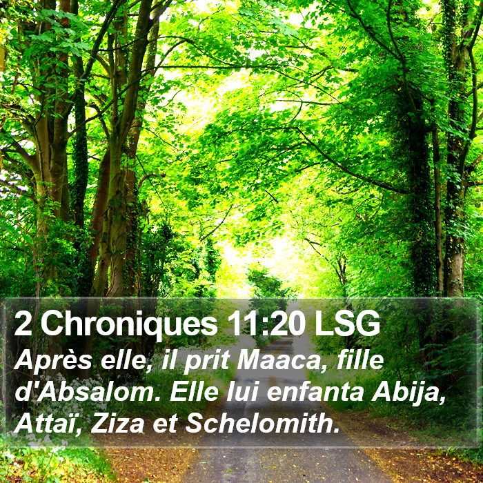 2 Chroniques 11:20 LSG Bible Study