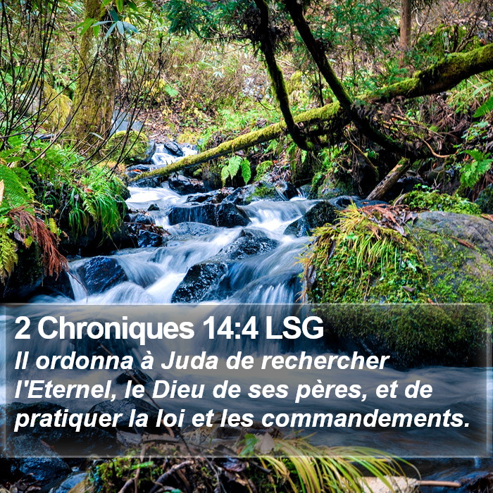 2 Chroniques 14:4 LSG Bible Study