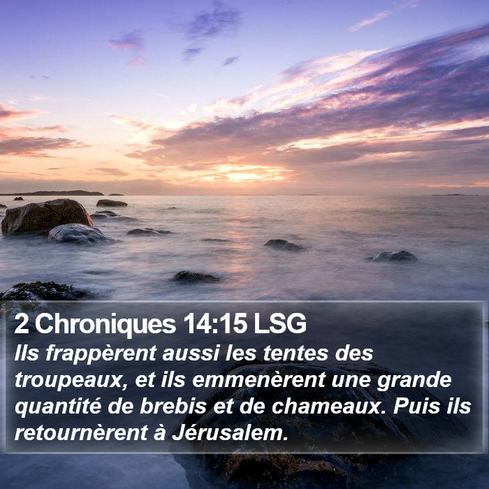 2 Chroniques 14:15 LSG Bible Study