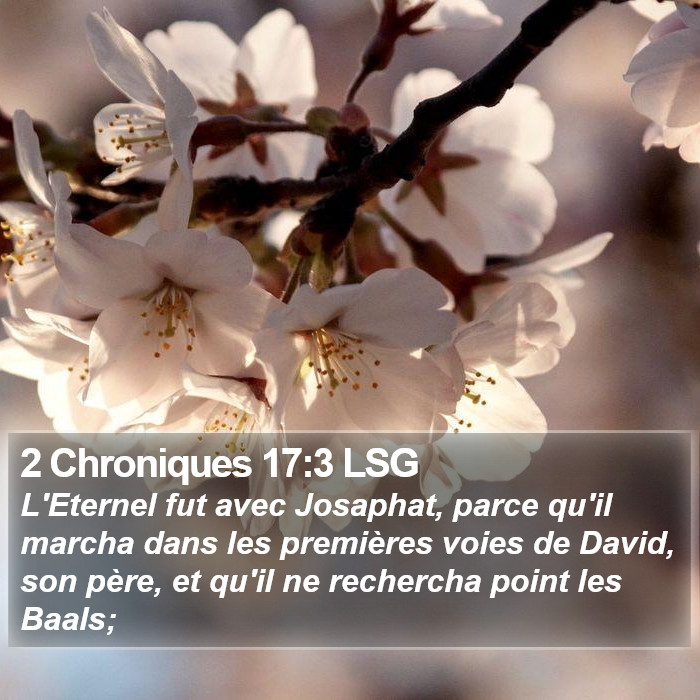 2 Chroniques 17:3 LSG Bible Study