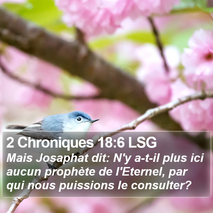 2 Chroniques 18:6 LSG Bible Study