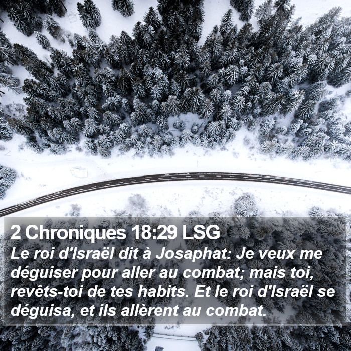 2 Chroniques 18:29 LSG Bible Study