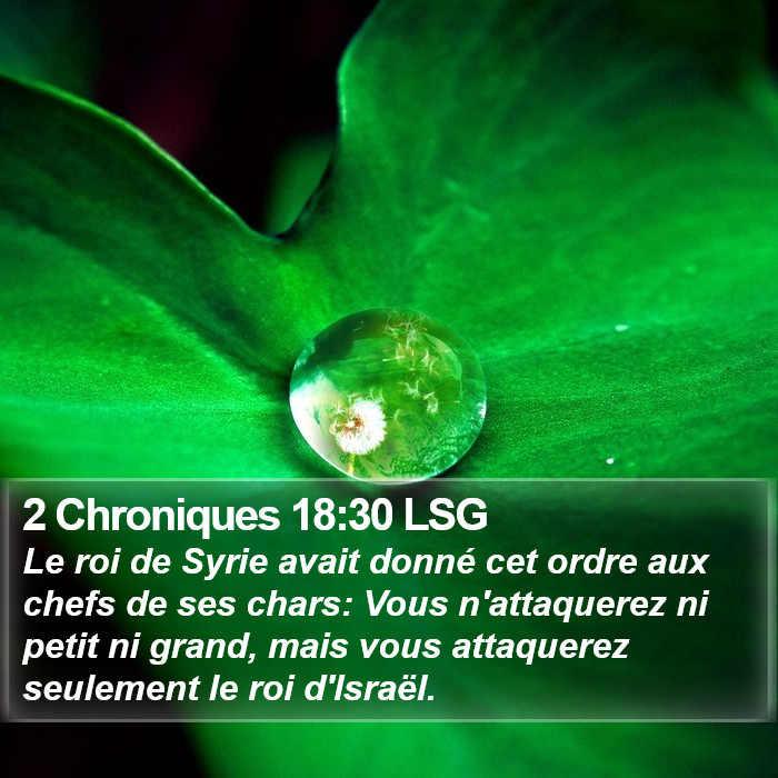 2 Chroniques 18:30 LSG Bible Study