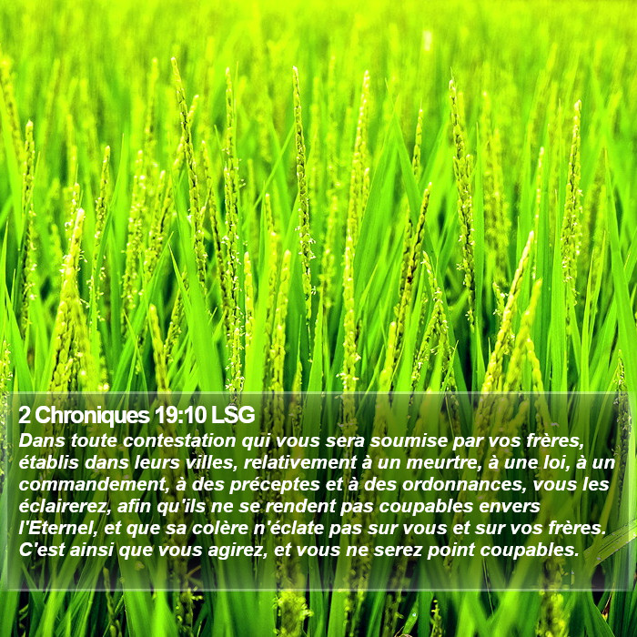 2 Chroniques 19:10 LSG Bible Study