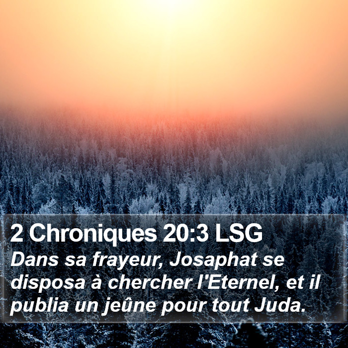 2 Chroniques 20:3 LSG Bible Study