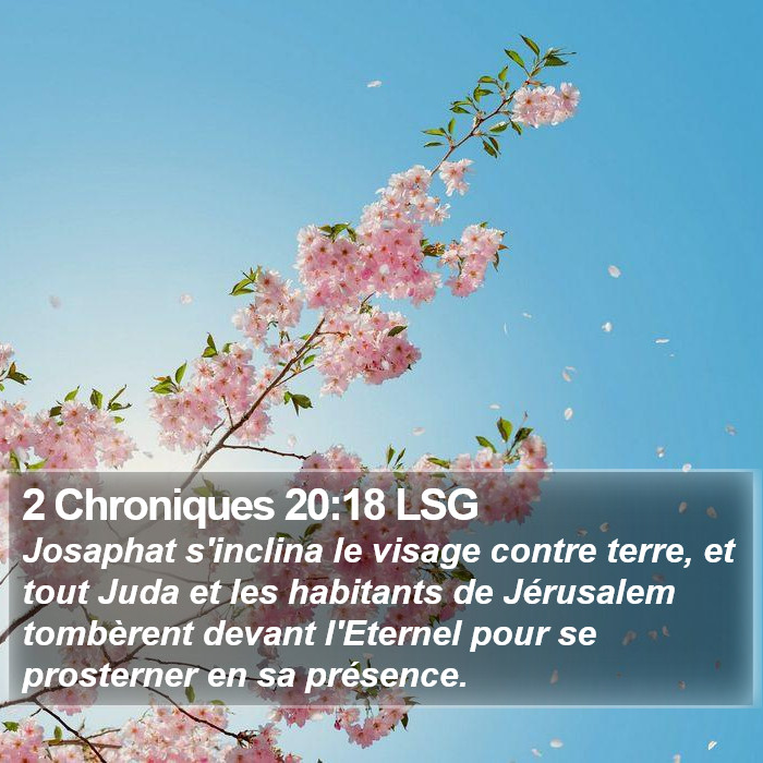 2 Chroniques 20:18 LSG Bible Study