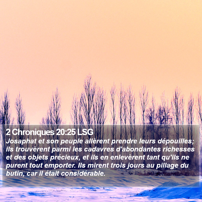 2 Chroniques 20:25 LSG Bible Study