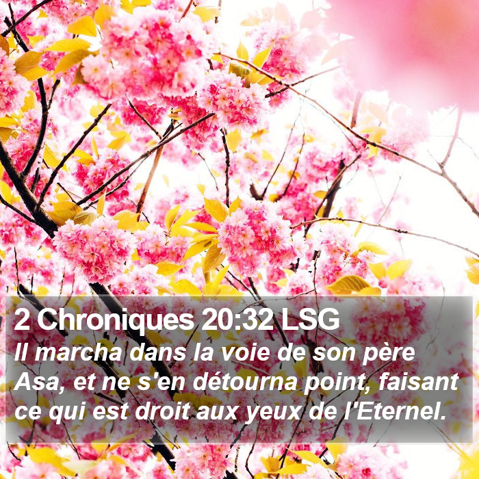 2 Chroniques 20:32 LSG Bible Study