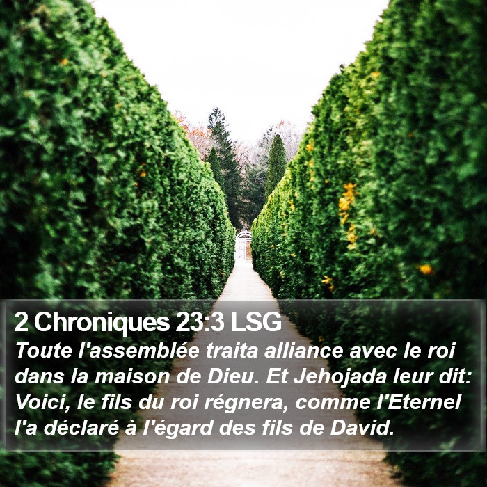2 Chroniques 23:3 LSG Bible Study