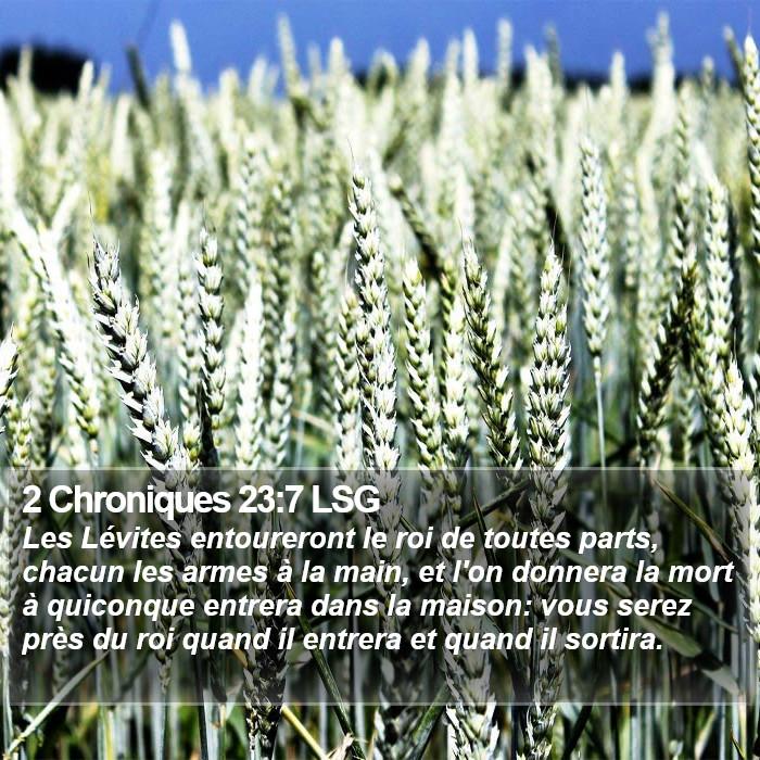 2 Chroniques 23:7 LSG Bible Study