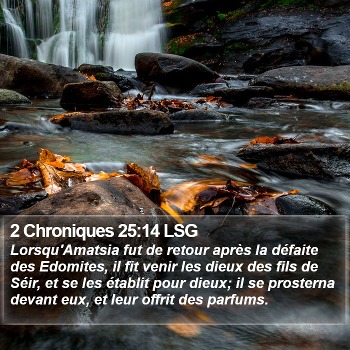2 Chroniques 25:14 LSG Bible Study