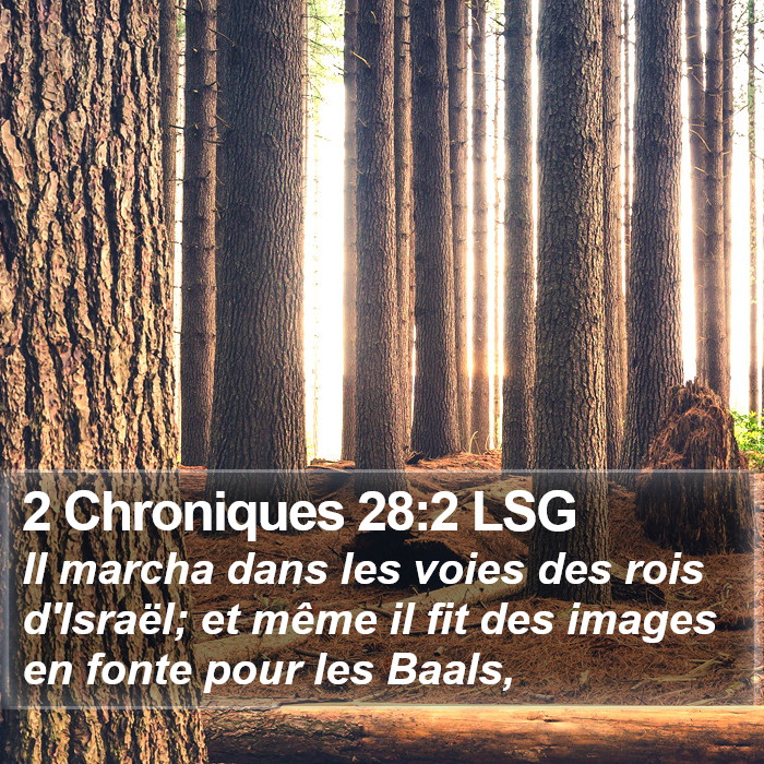 2 Chroniques 28:2 LSG Bible Study