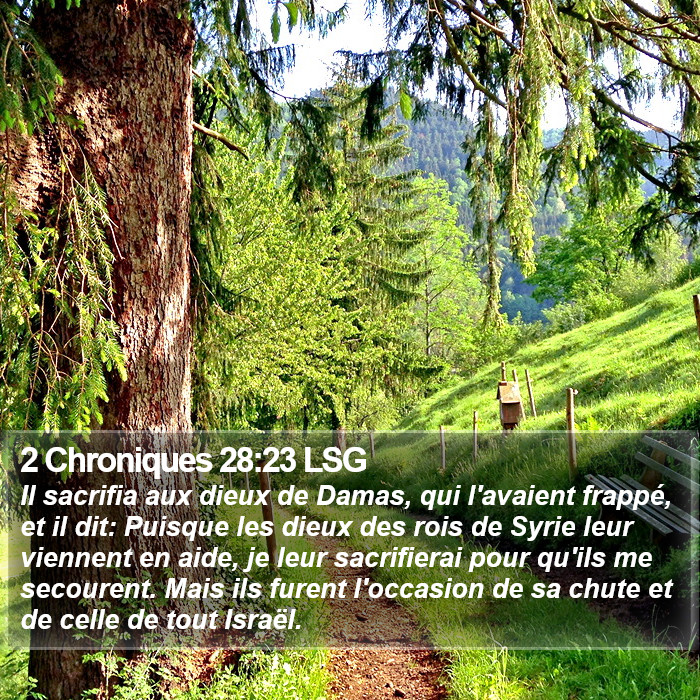 2 Chroniques 28:23 LSG Bible Study