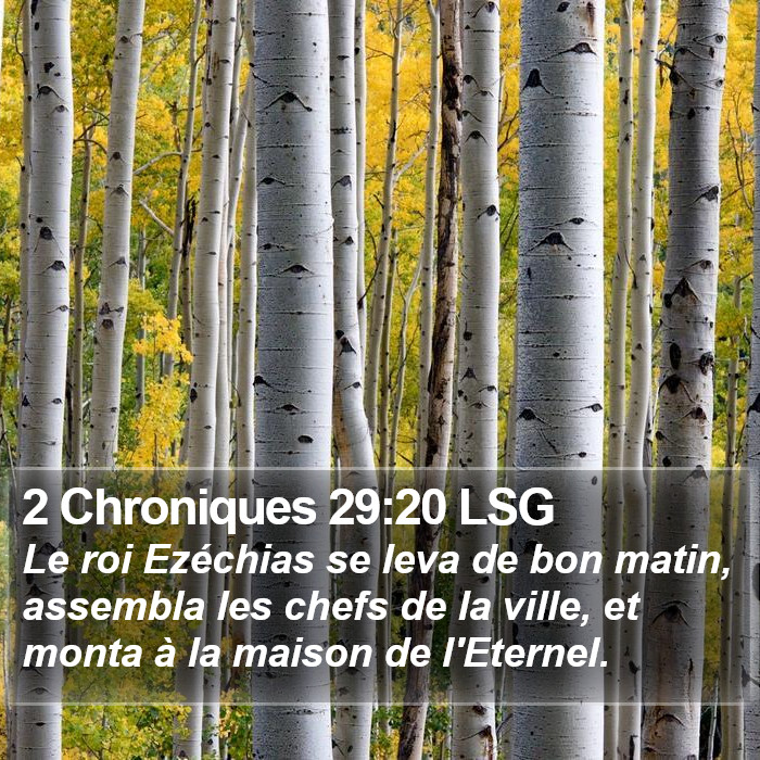 2 Chroniques 29:20 LSG Bible Study
