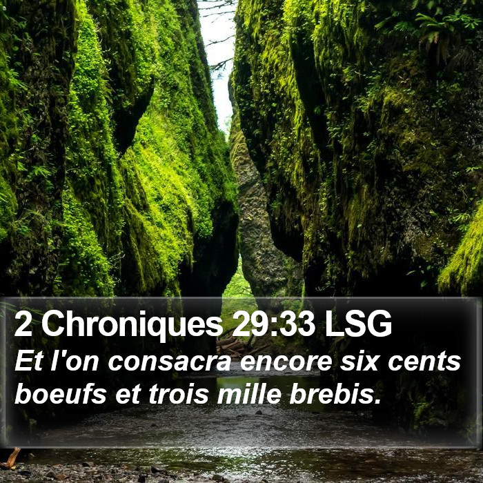 2 Chroniques 29:33 LSG Bible Study