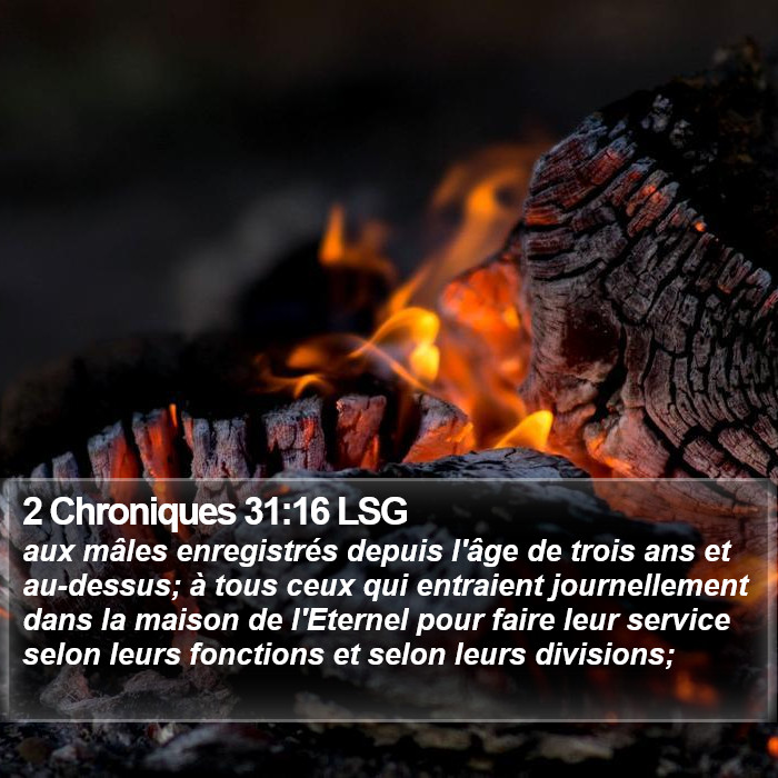 2 Chroniques 31:16 LSG Bible Study