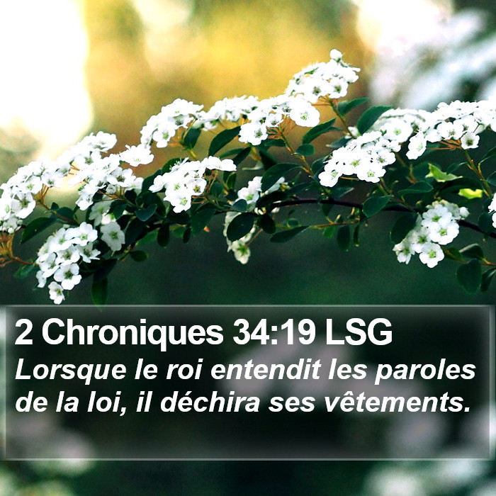 2 Chroniques 34:19 LSG Bible Study