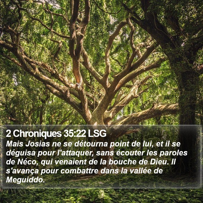 2 Chroniques 35:22 LSG Bible Study