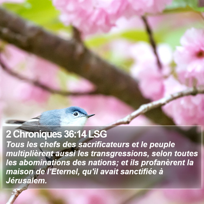 2 Chroniques 36:14 LSG Bible Study